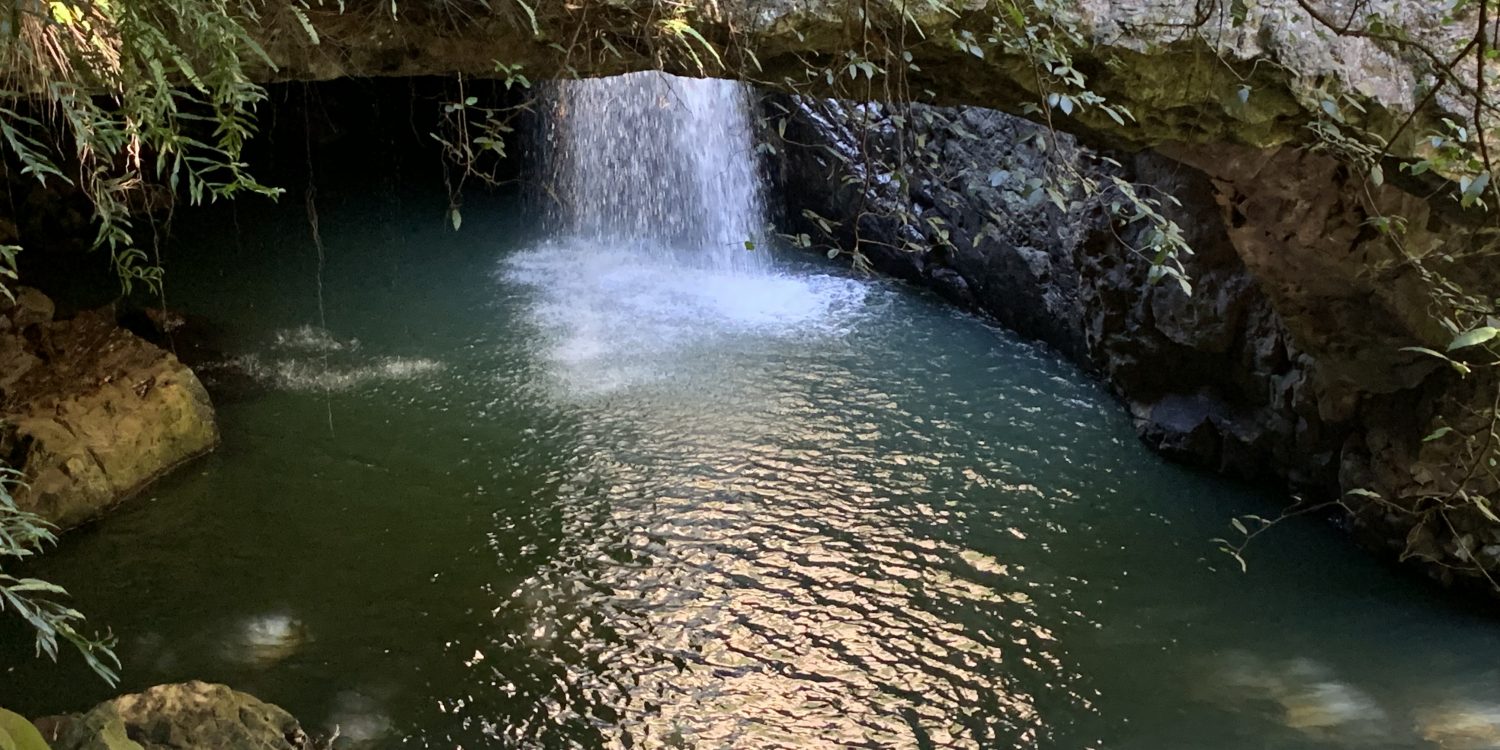Cariad Health – counselling, supervision, Reiki – – NDIS Registered – Brisbane, Waterfall Cariad Health - counselling, supervision, Reiki - - NDIS Registered - Brisbane, Waterfall