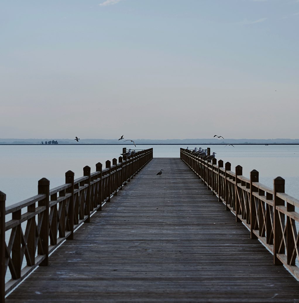 Cariad Health – Couples Counselling Cleveland, Redlands – NDIS Registered  – Brisbane, Redlands, Logan – Pier Cariad Health - mobile counselling and Reiki - NDIS Registered - Brisbane, Redlands, Logan - Pier Relationships